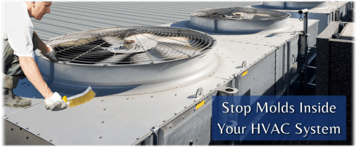 HVAC Mold Removal Moreno Valley